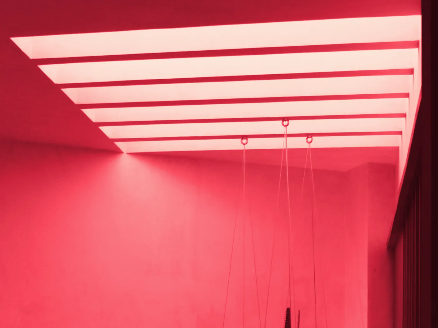 Teto de luz em faixas escalonadas, com vasos suspensos, foto da Aura Lighting com tratamento rosa